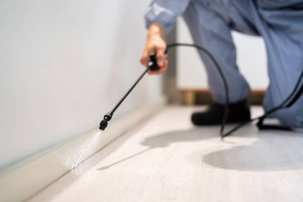 Licensed Rodent Control service in Summers County County, WV - Nex Pest Control